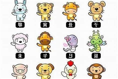 1994年 生肖